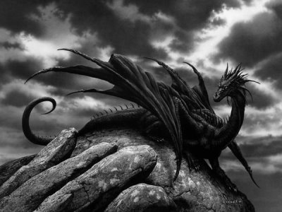 Dragon en noir et blanc