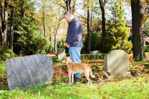 Comment un animal peut améliorer le moral et réduire le stress.