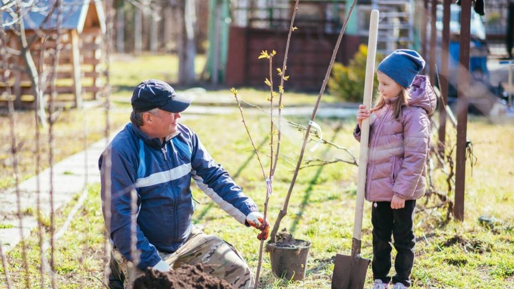 Le premier pas consiste à nettoyer soigneusement son terrain. 