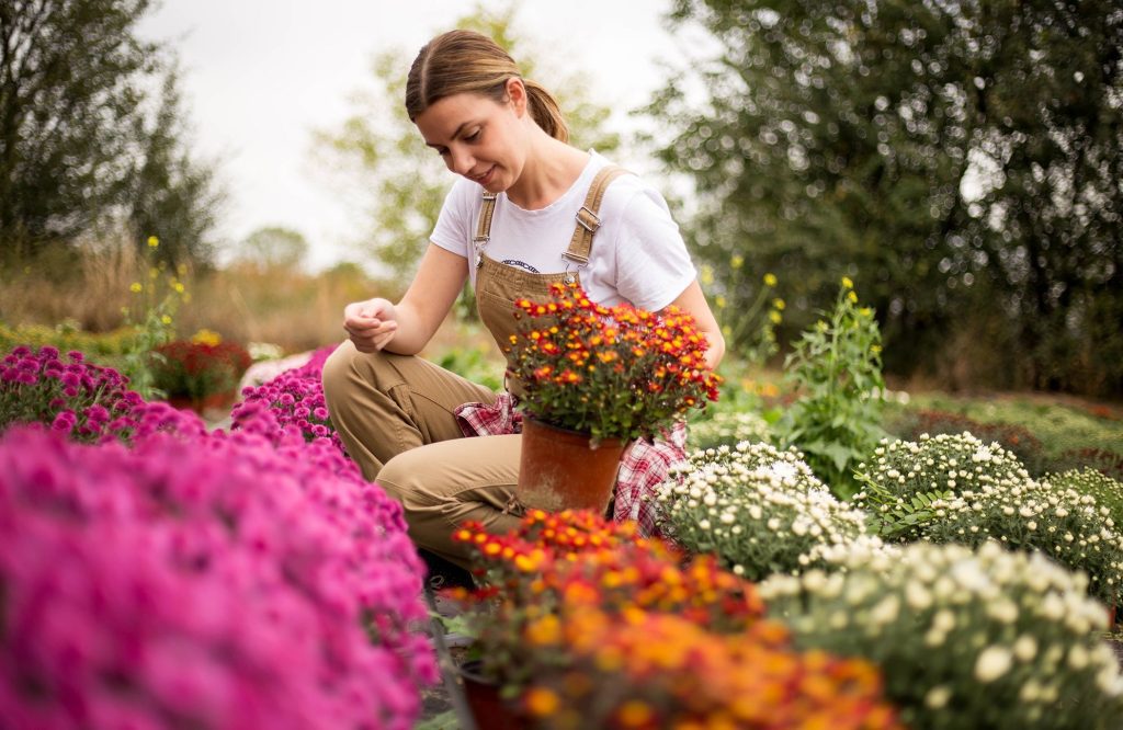 Les fleurs et plantations du jardin en octobre