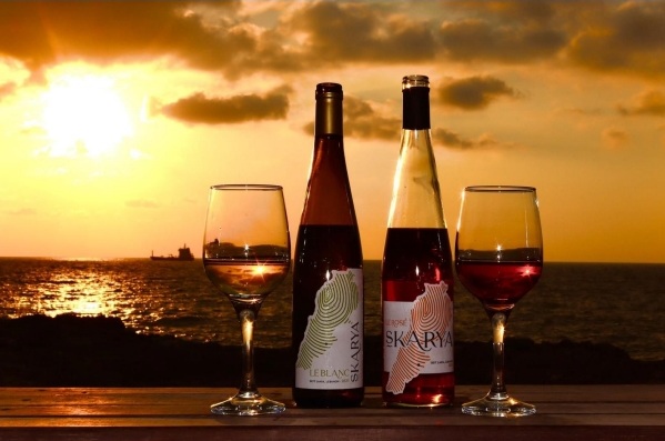 Je partage un verre de vin Skarya