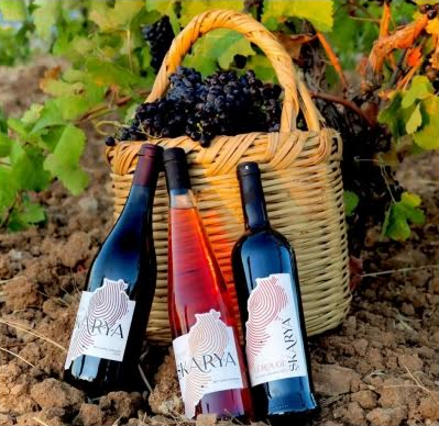 Les bouteilles élégantes du vin  Skarya