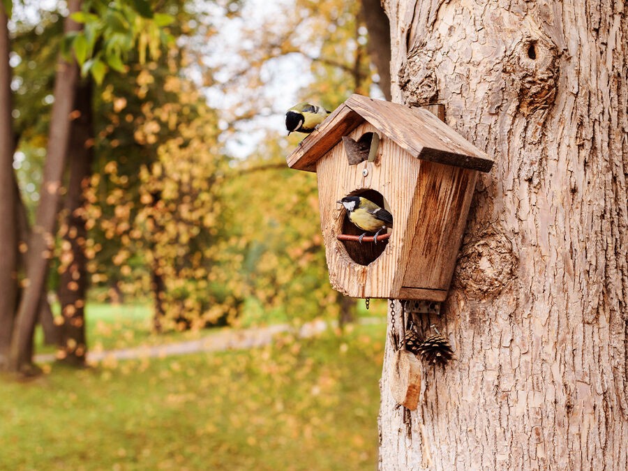 Une présence qui magnifie le jardin.