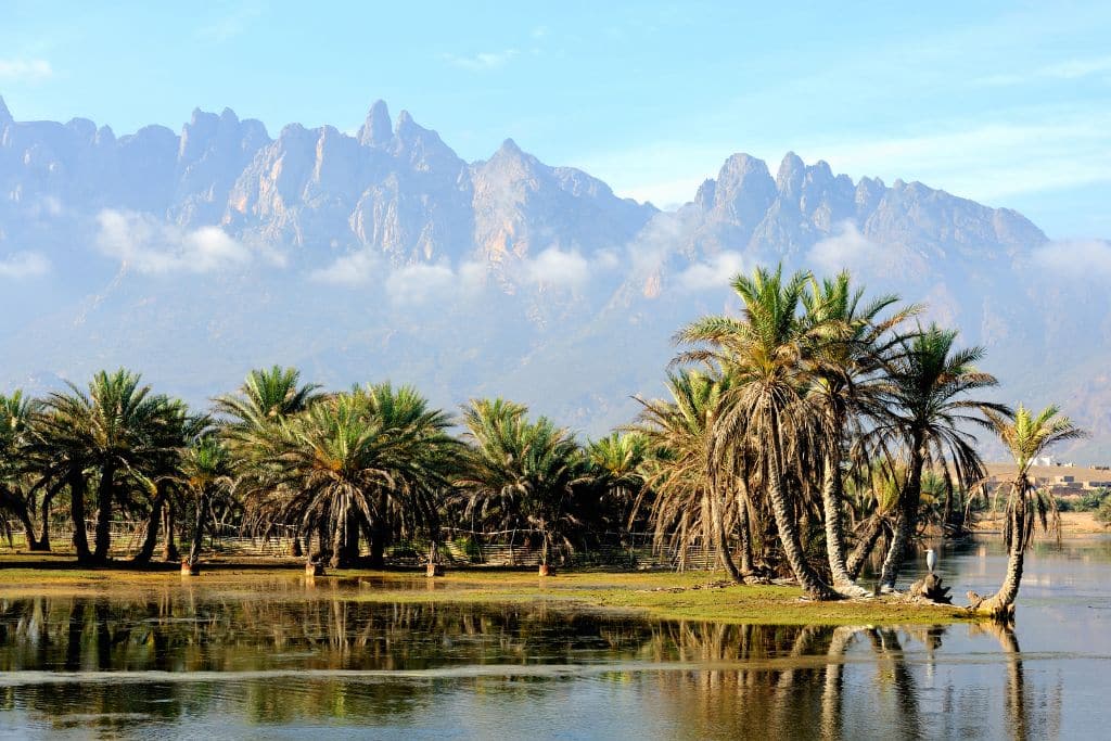 Vue de l'ile de Socotra