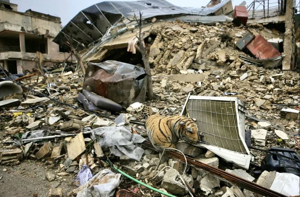 les ruines du village de khiam