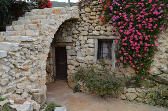 La Maison Paysanne : le sanctuaire du vivant