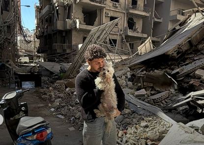 Les héros sans cape : quand l'humanité défie les bombes pour sauver les animaux