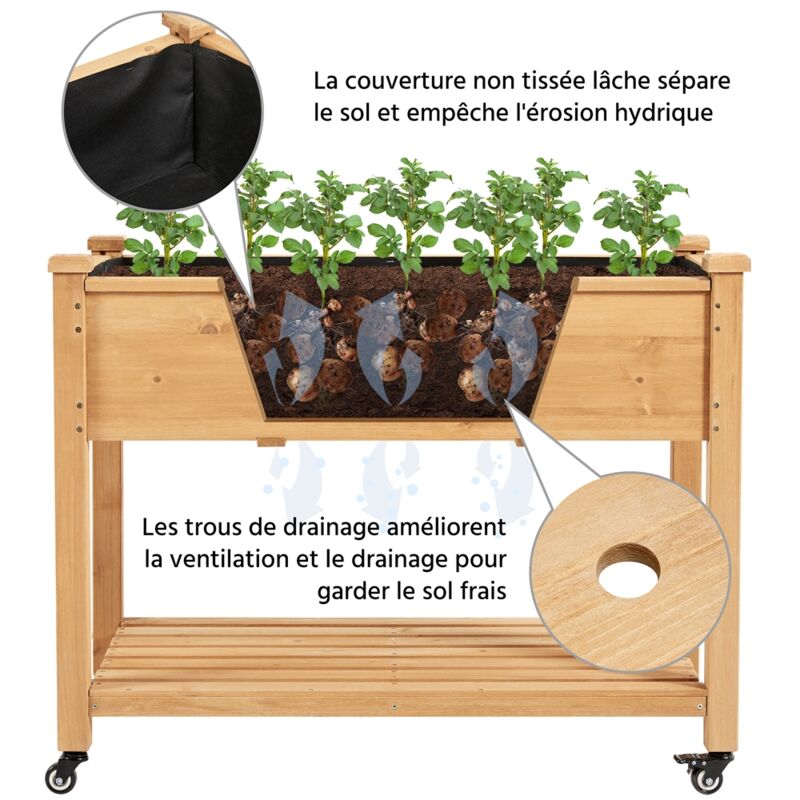 Pots percés au fond afin de garantir un excellent drainage de l'eau d'arrosage excédentaire.
