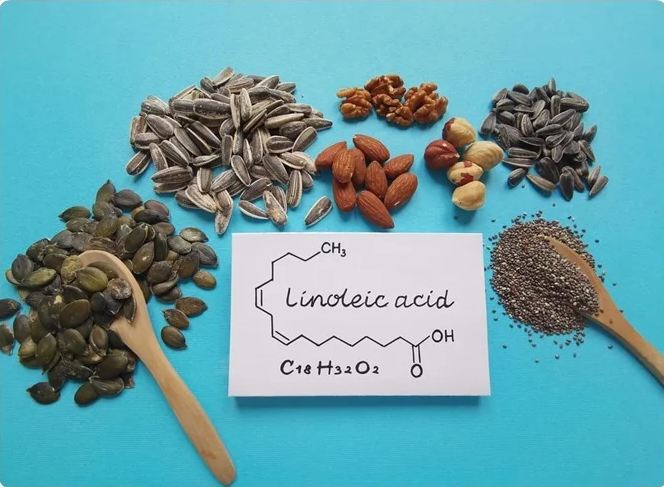 L’acide linoléique se trouve surtout dans les graines 