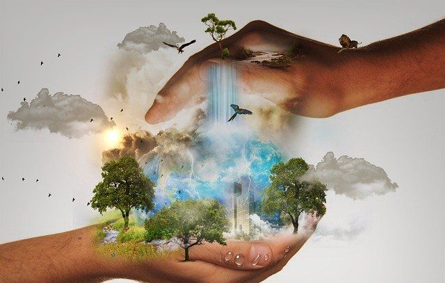 Quand le vivant pleure, notre âme s'éveille