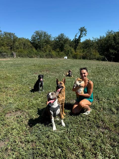 Nos petits compagnons à quatre pattes méritent toute notre attention