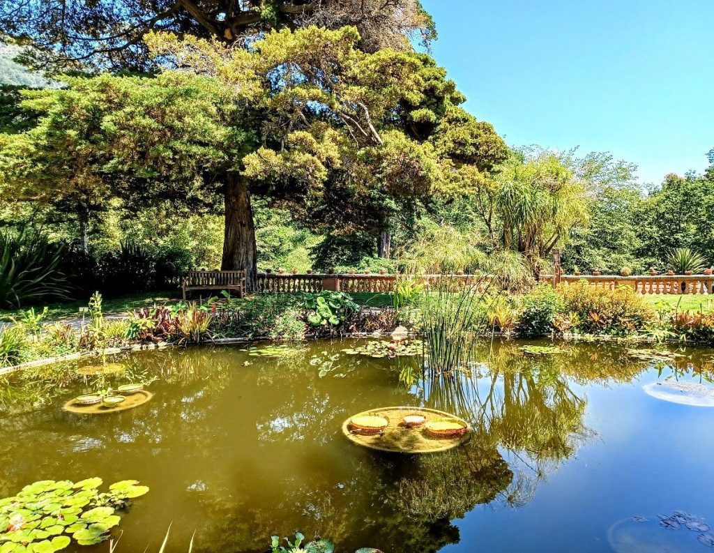 Le jardin botanique du Val Rahmeh : un écrin de biodiversité extraordinaire.